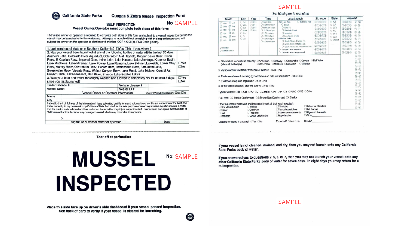 mussel inspection form